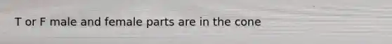 T or F male and female parts are in the cone
