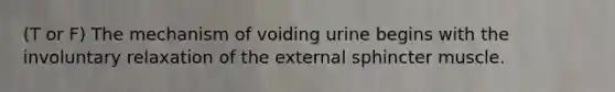 (T or F) The mechanism of voiding urine begins with the involuntary relaxation of the external sphincter muscle.