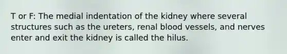 T or F: The medial indentation of the kidney where several structures such as the ureters, renal blood vessels, and nerves enter and exit the kidney is called the hilus.