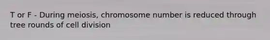 T or F - During meiosis, chromosome number is reduced through tree rounds of cell division