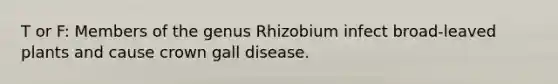 T or F: Members of the genus Rhizobium infect broad-leaved plants and cause crown gall disease.