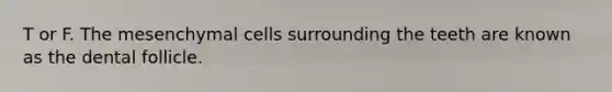 T or F. The mesenchymal cells surrounding the teeth are known as the dental follicle.