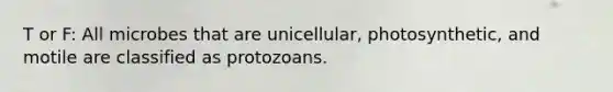 T or F: All microbes that are unicellular, photosynthetic, and motile are classified as protozoans.