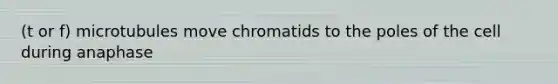 (t or f) microtubules move chromatids to the poles of the cell during anaphase