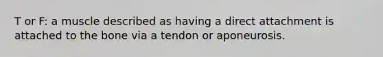 T or F: a muscle described as having a direct attachment is attached to the bone via a tendon or aponeurosis.