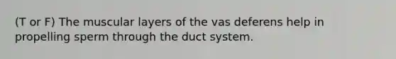 (T or F) The muscular layers of the vas deferens help in propelling sperm through the duct system.