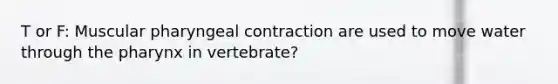 T or F: Muscular pharyngeal contraction are used to move water through the pharynx in vertebrate?