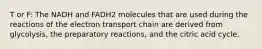 T or F: The NADH and FADH2 molecules that are used during the reactions of the electron transport chain are derived from glycolysis, the preparatory reactions, and the citric acid cycle.