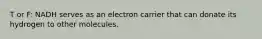 T or F: NADH serves as an electron carrier that can donate its hydrogen to other molecules.