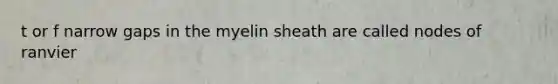 t or f narrow gaps in the myelin sheath are called nodes of ranvier