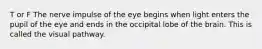 T or F The nerve impulse of the eye begins when light enters the pupil of the eye and ends in the occipital lobe of the brain. This is called the visual pathway.