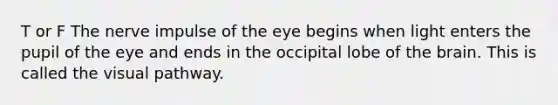 T or F The nerve impulse of the eye begins when light enters the pupil of the eye and ends in the occipital lobe of <a href='https://www.questionai.com/knowledge/kLMtJeqKp6-the-brain' class='anchor-knowledge'>the brain</a>. This is called the visual pathway.