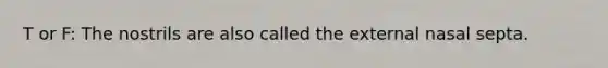 T or F: The nostrils are also called the external nasal septa.