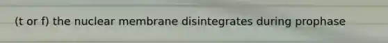 (t or f) the nuclear membrane disintegrates during prophase