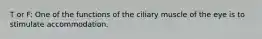 T or F: One of the functions of the ciliary muscle of the eye is to stimulate accommodation.