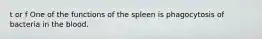 t or f One of the functions of the spleen is phagocytosis of bacteria in the blood.