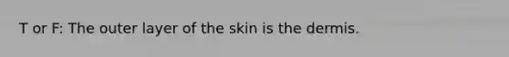 T or F: The outer layer of the skin is the dermis.