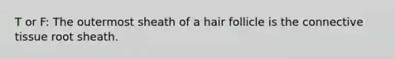 T or F: The outermost sheath of a hair follicle is the connective tissue root sheath.