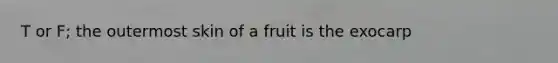 T or F; the outermost skin of a fruit is the exocarp