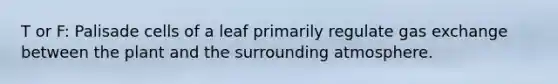 T or F: Palisade cells of a leaf primarily regulate gas exchange between the plant and the surrounding atmosphere.