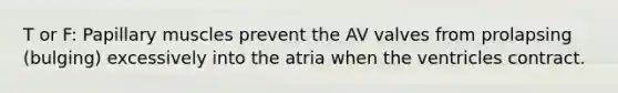 T or F: Papillary muscles prevent the AV valves from prolapsing (bulging) excessively into the atria when the ventricles contract.