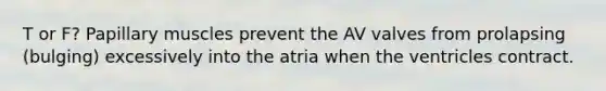 T or F? Papillary muscles prevent the AV valves from prolapsing (bulging) excessively into the atria when the ventricles contract.