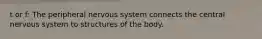 t or f: The peripheral nervous system connects the central nervous system to structures of the body.​