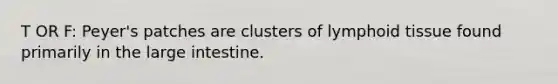 T OR F: Peyer's patches are clusters of lymphoid tissue found primarily in the large intestine.