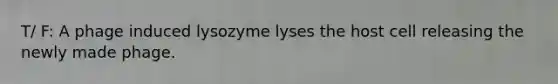 T/ F: A phage induced lysozyme lyses the host cell releasing the newly made phage.