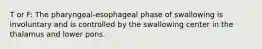 T or F: The pharyngeal-esophageal phase of swallowing is involuntary and is controlled by the swallowing center in the thalamus and lower pons.