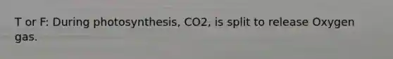 T or F: During photosynthesis, CO2, is split to release Oxygen gas.