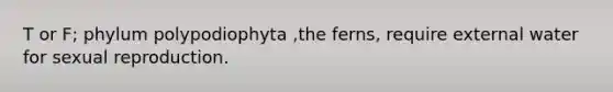 T or F; phylum polypodiophyta ,the ferns, require external water for sexual reproduction.