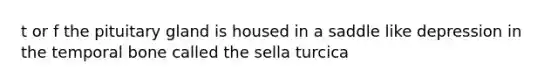 t or f the pituitary gland is housed in a saddle like depression in the temporal bone called the sella turcica