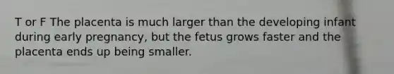 T or F The placenta is much larger than the developing infant during early pregnancy, but the fetus grows faster and the placenta ends up being smaller.