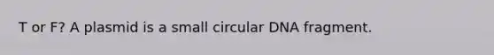 T or F? A plasmid is a small circular DNA fragment.