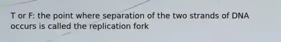 T or F: the point where separation of the two strands of DNA occurs is called the replication fork