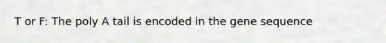T or F: The poly A tail is encoded in the gene sequence