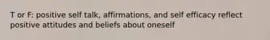 T or F: positive self talk, affirmations, and self efficacy reflect positive attitudes and beliefs about oneself