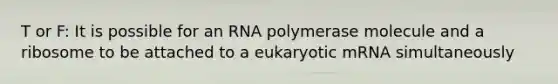 T or F: It is possible for an RNA polymerase molecule and a ribosome to be attached to a eukaryotic mRNA simultaneously