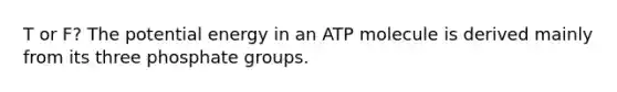 T or F? The potential energy in an ATP molecule is derived mainly from its three phosphate groups.