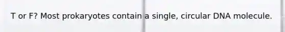 T or F? Most prokaryotes contain a single, circular DNA molecule.