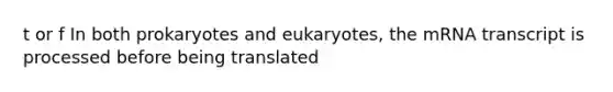 t or f In both prokaryotes and eukaryotes, the mRNA transcript is processed before being translated