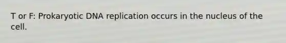 T or F: Prokaryotic DNA replication occurs in the nucleus of the cell.