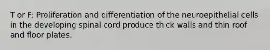 T or F: Proliferation and differentiation of the neuroepithelial cells in the developing spinal cord produce thick walls and thin roof and floor plates.