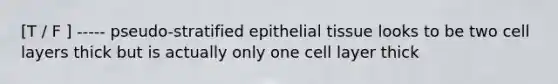 [T / F ] ----- pseudo-stratified epithelial tissue looks to be two cell layers thick but is actually only one cell layer thick