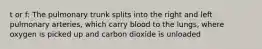 t or f: The pulmonary trunk splits into the right and left pulmonary arteries, which carry blood to the lungs, where oxygen is picked up and carbon dioxide is unloaded