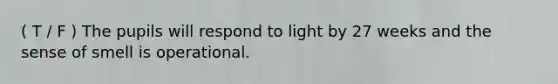 ( T / F ) The pupils will respond to light by 27 weeks and the sense of smell is operational.