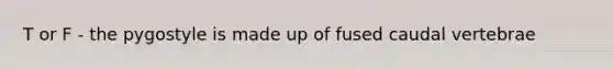 T or F - the pygostyle is made up of fused caudal vertebrae
