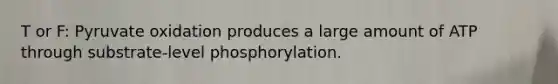 T or F: Pyruvate oxidation produces a large amount of ATP through substrate-level phosphorylation.