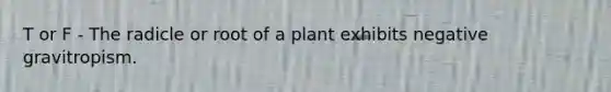 T or F - The radicle or root of a plant exhibits negative gravitropism.